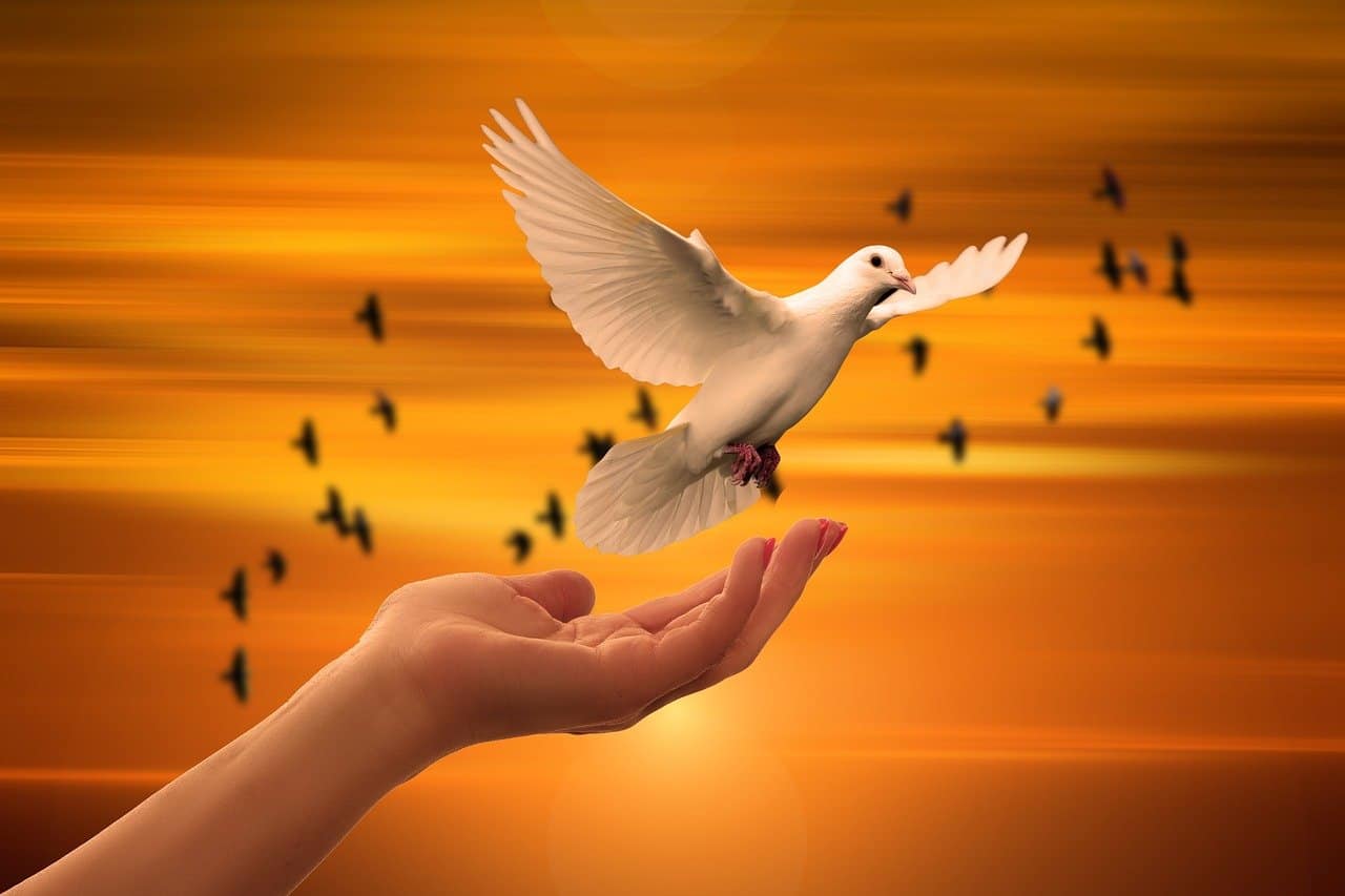 this is an image to depict hope for cancer patient even with advanced incurable cancer, and advances in palliative medicine and treatment